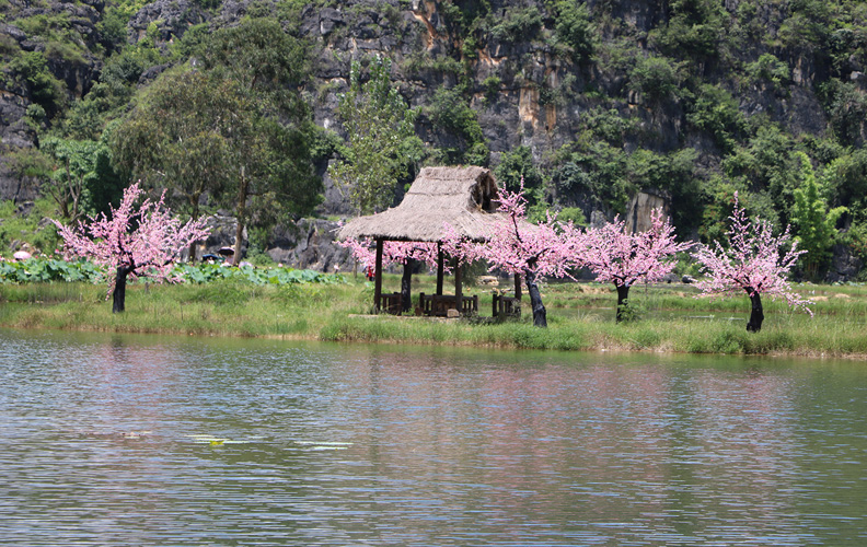 《三生三世十里桃花》拍攝地。