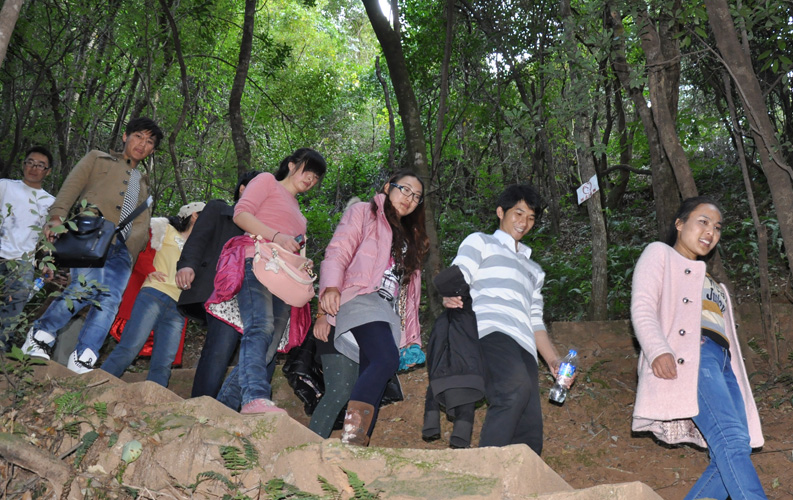 青龍峽位于昆明西郊安寧市青龍鎮(zhèn)滇中生態(tài)大峽谷中，景區(qū)有保存較為完好的植物群落，遮天蔽日的參天古木；有浪漫山花，野果飄香，還有清秀寧?kù)o的田園風(fēng)光。河谷沿岸古柳成蔭，幾十里的云南櫻花大道成為昆明郊游靚麗的風(fēng)景線。景區(qū)中溪水潺潺，千姿百態(tài)、千奇百怪的蔓藤風(fēng)光隨處可見(jiàn)，號(hào)稱“都市身旁的小九寨。